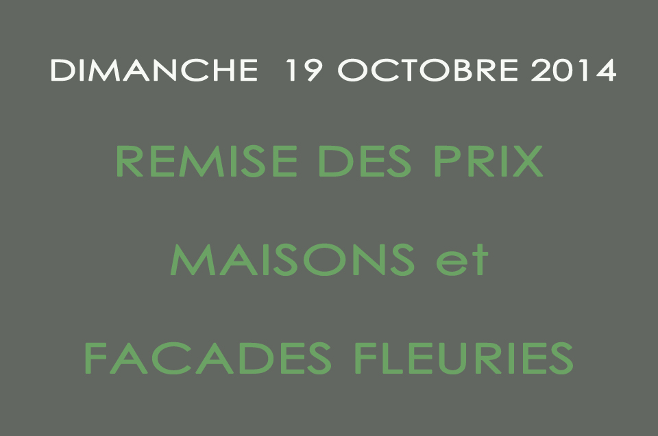 Maisons fleuries 2014 (1)