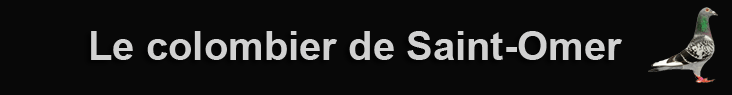 Le colombier de Saint-Omer