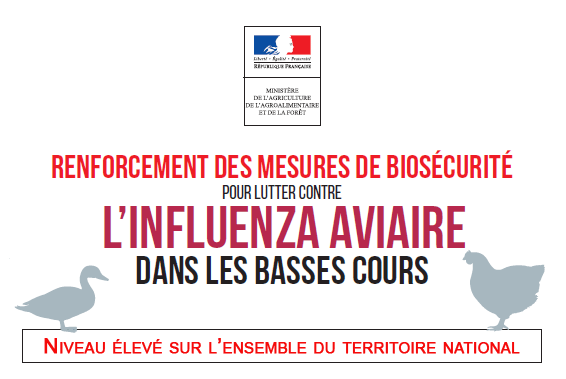 Lacleweb influenza basse cour