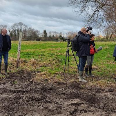 Restauration des berges de la Houlle