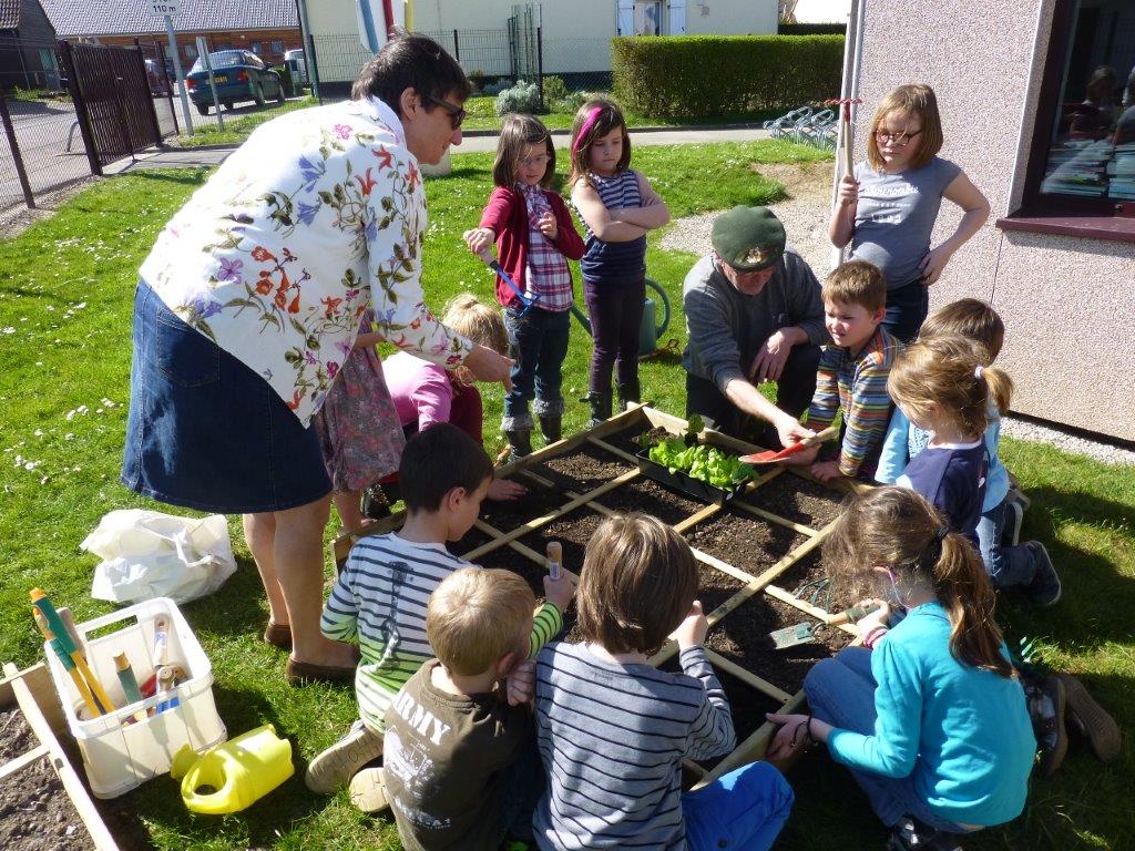 Carres potagers (1)