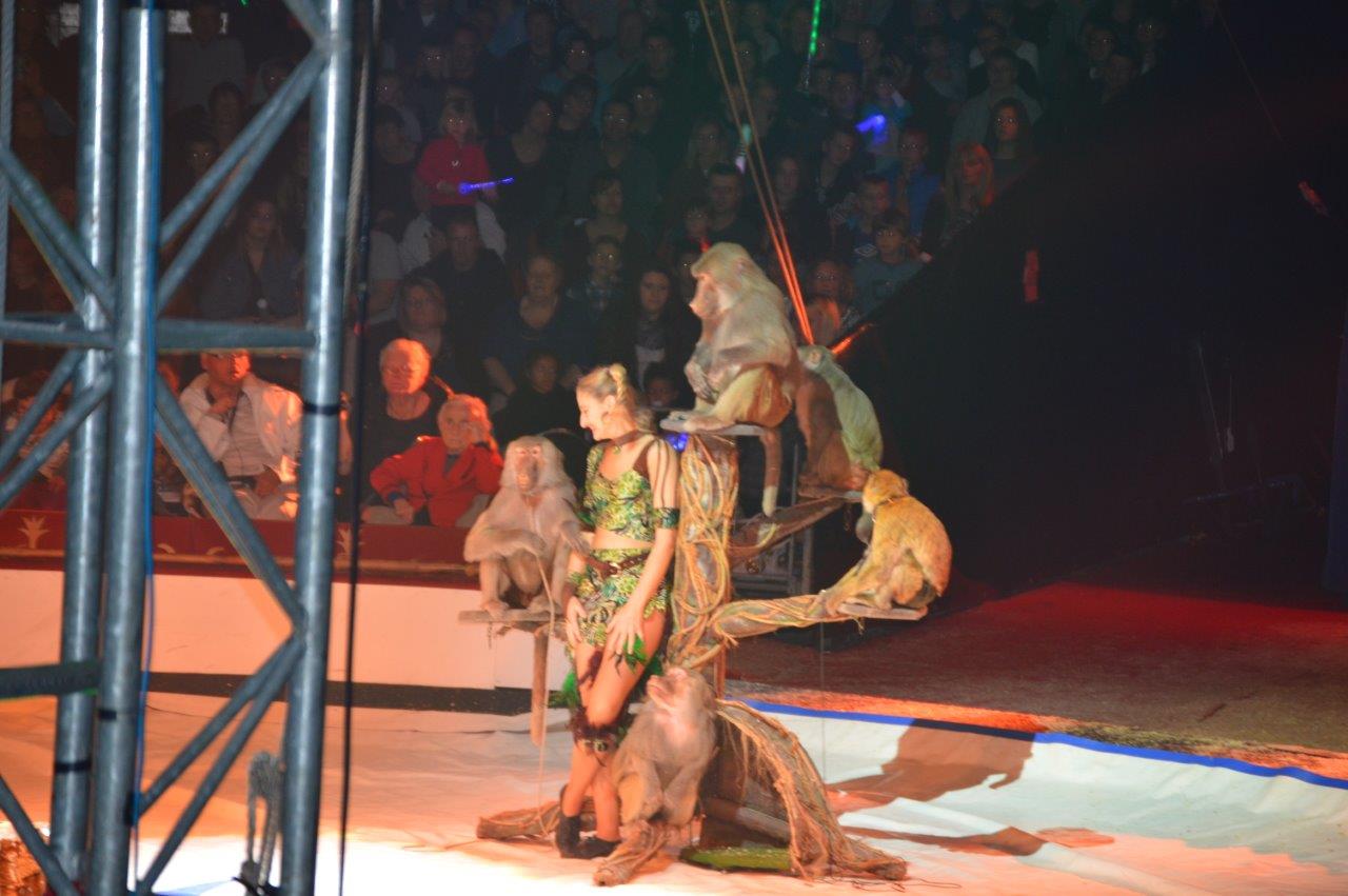 Cirque Gener 2015 (20)