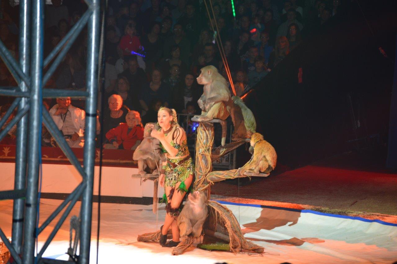 Cirque Gener 2015 (21)