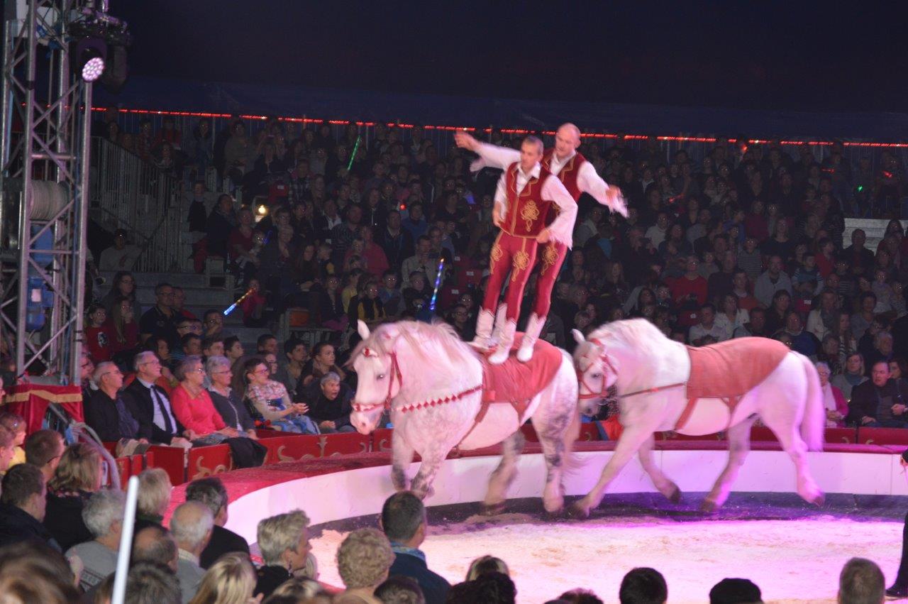 Cirque Gener 2015 (28)