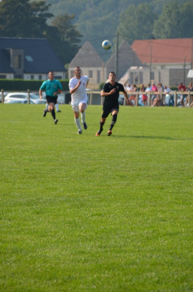 DSC_0477 (2)