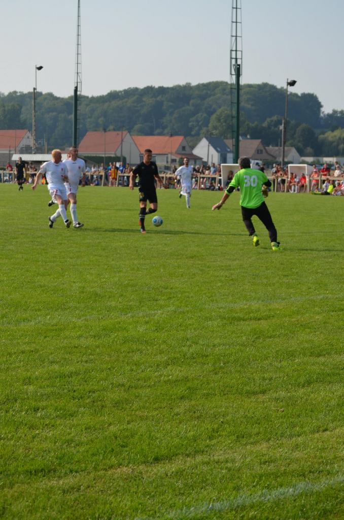 DSC_0481 (2)
