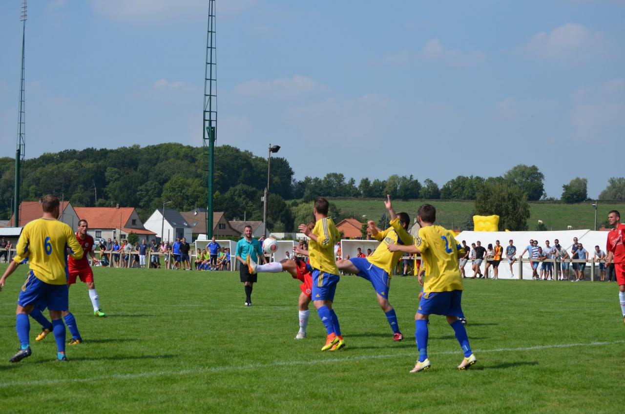 DSC_0803 (2)