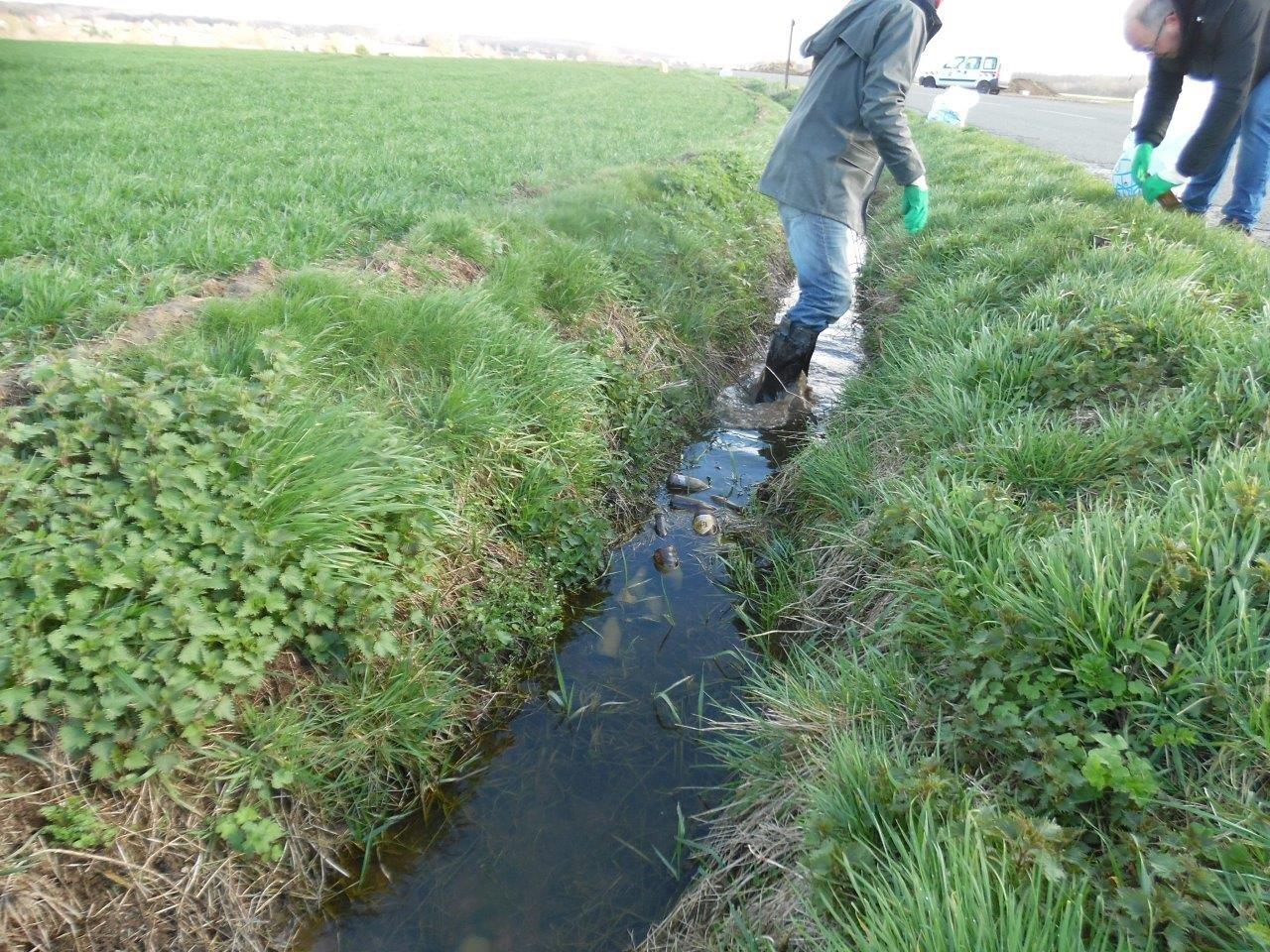 Marais propre 17 mars (35)