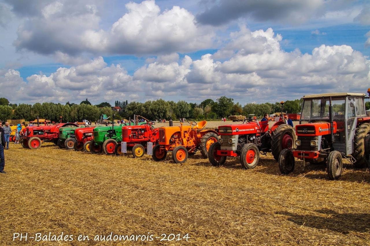 Moisson 2014 Phil Hudelle (102)