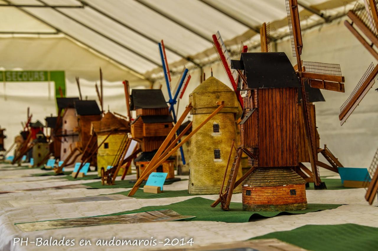 Moisson 2014 Phil Hudelle (104)