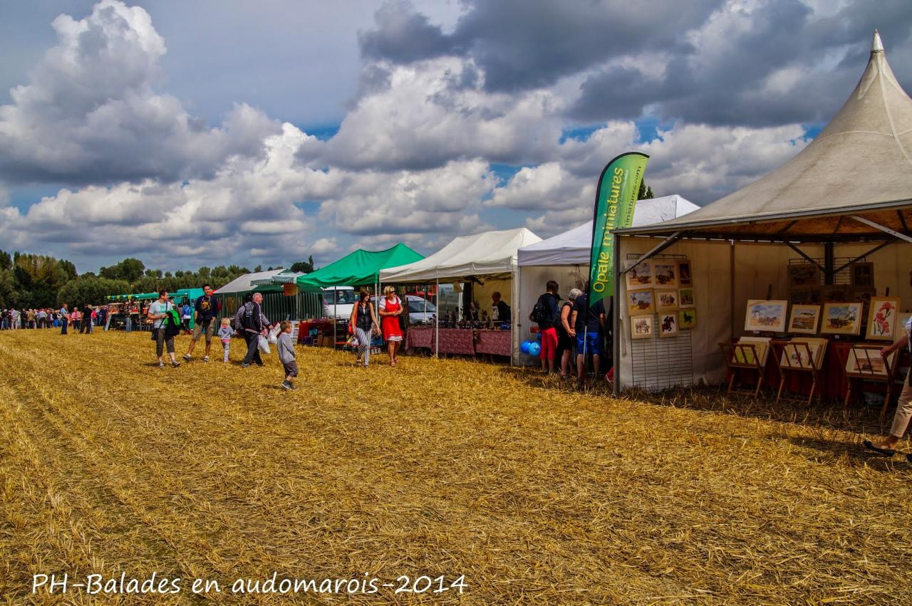 Moisson 2014 Phil Hudelle (122)