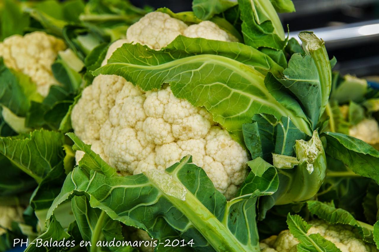 Moisson 2014 Phil Hudelle (133)