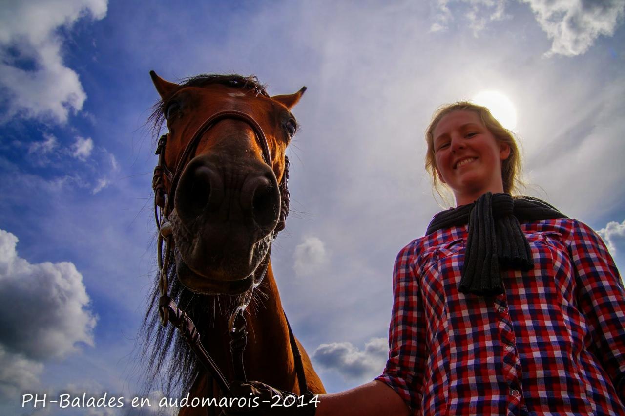 Moisson 2014 Phil Hudelle (135)