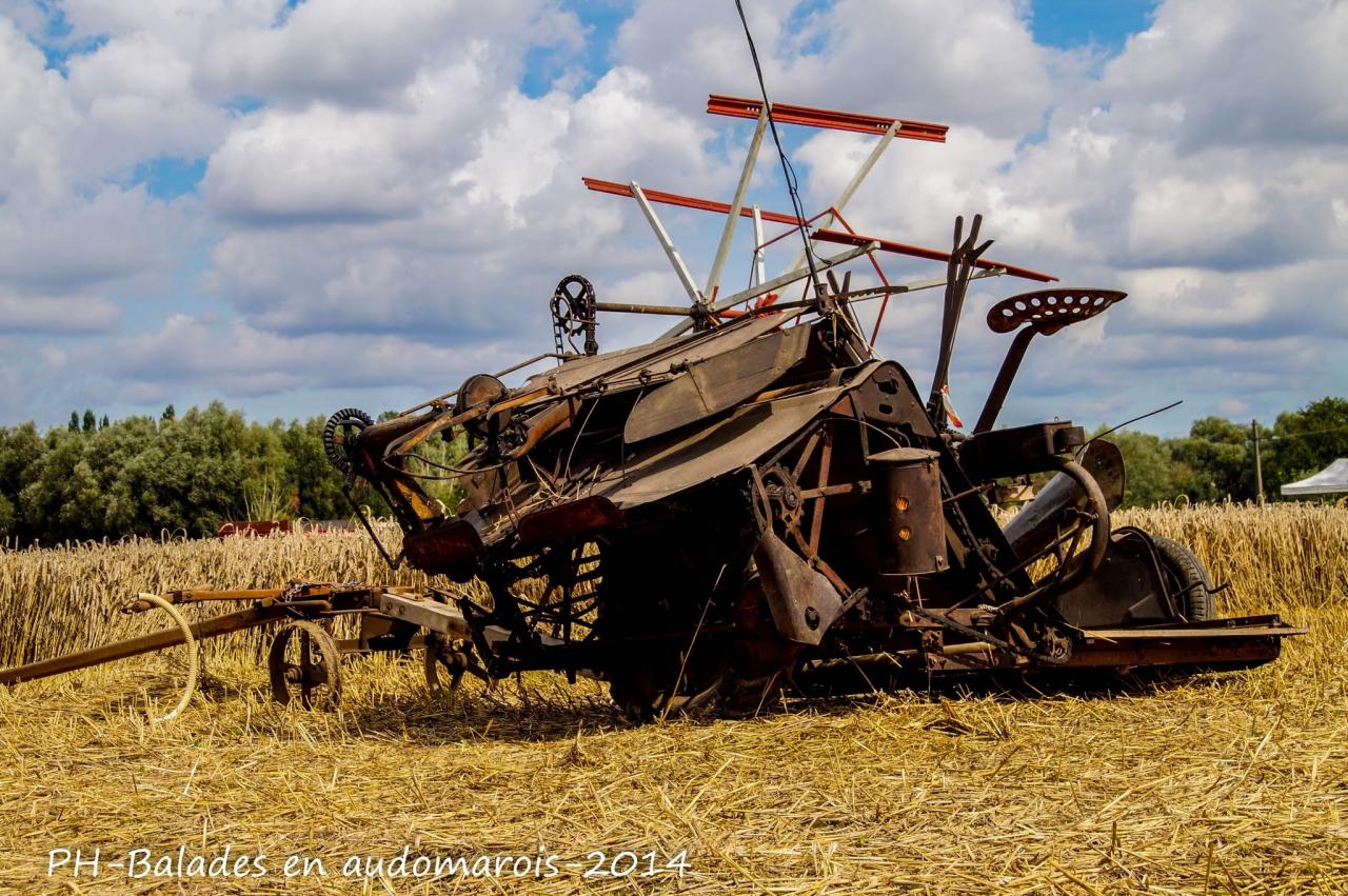 Moisson 2014 Phil Hudelle (137)
