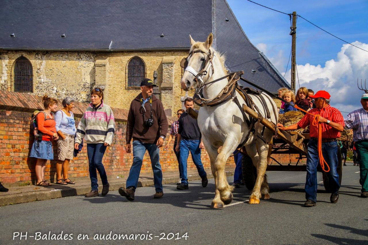 Moisson 2014 Phil Hudelle (3)