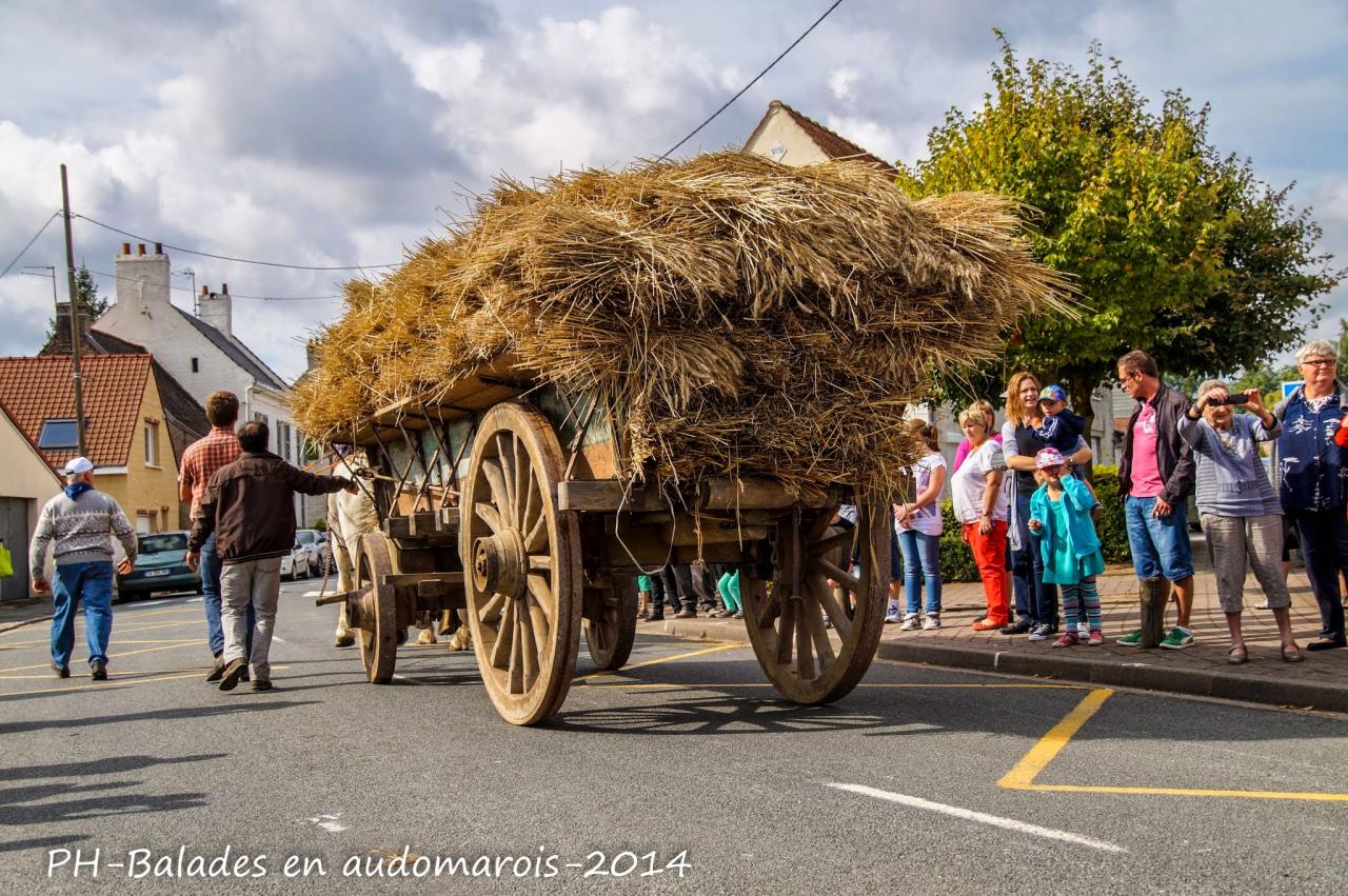 Moisson 2014 Phil Hudelle (4)