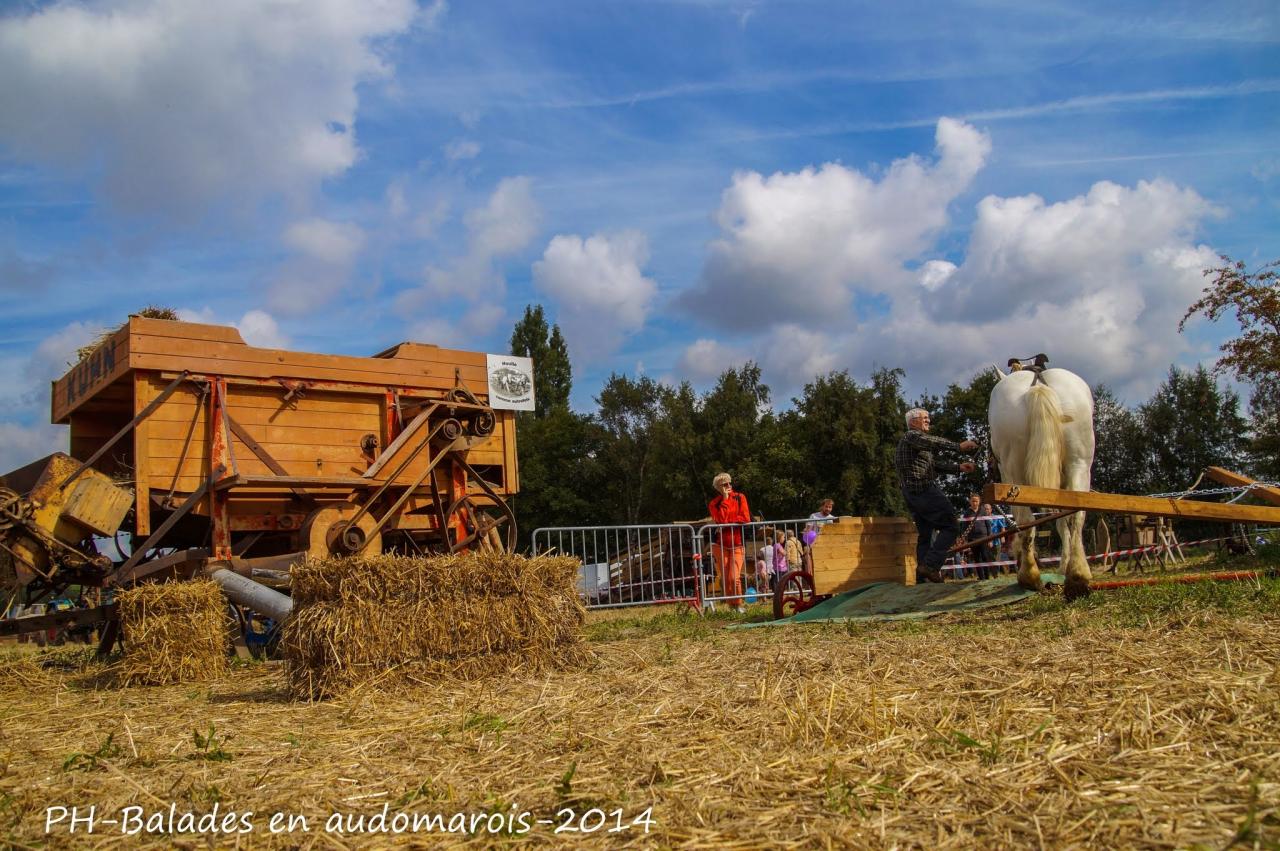 Moisson 2014 Phil Hudelle (56)