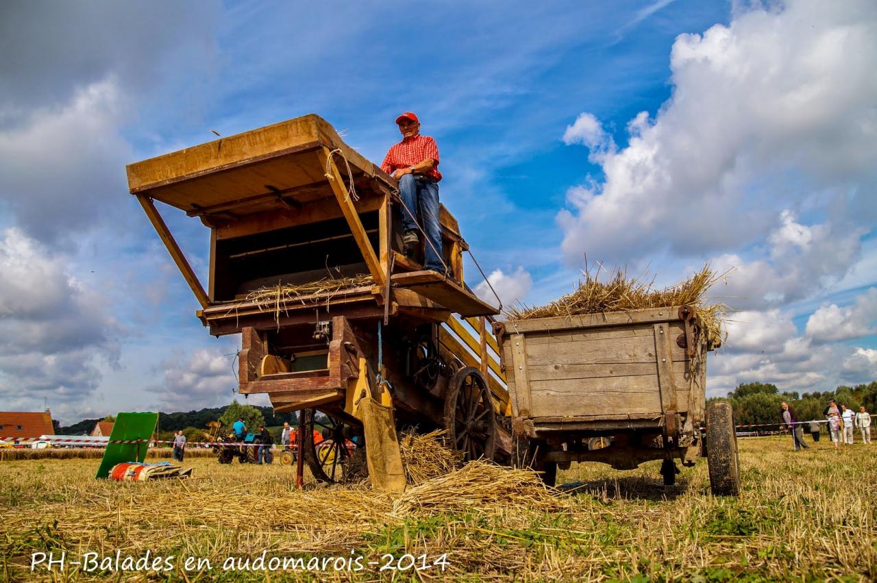 Moisson 2014 Phil Hudelle (61)