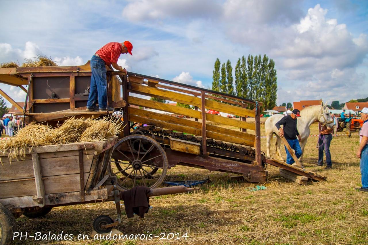 Moisson 2014 Phil Hudelle (65)