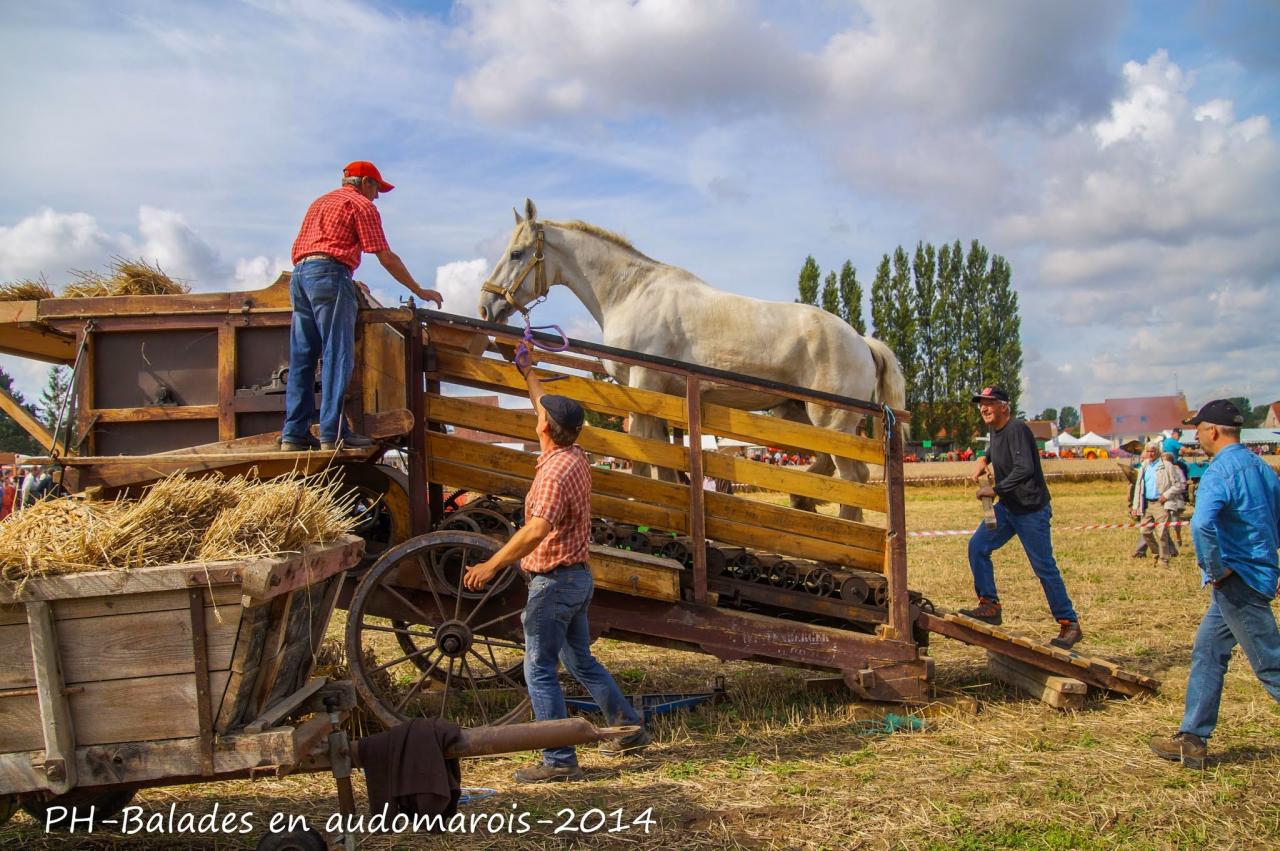 Moisson 2014 Phil Hudelle (66)