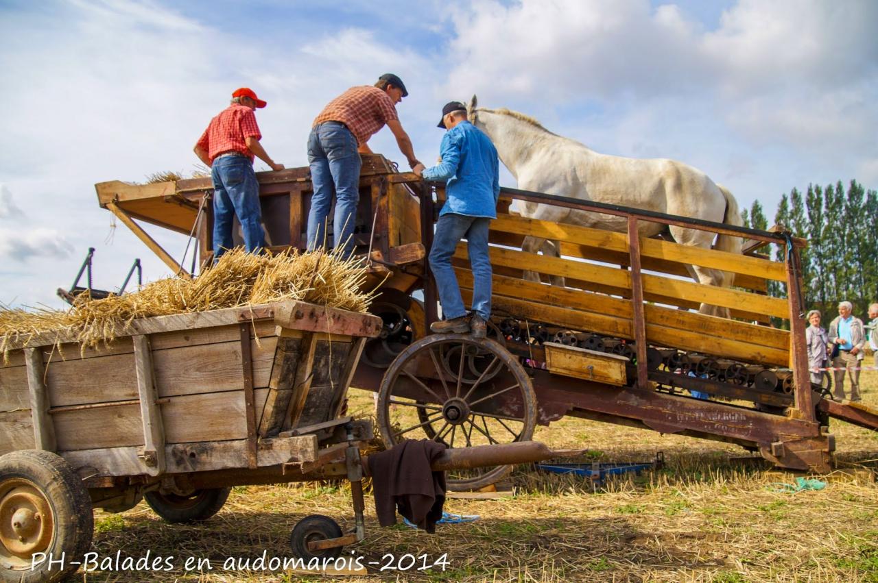 Moisson 2014 Phil Hudelle (67)