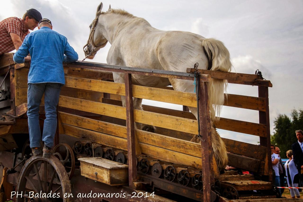 Moisson 2014 Phil Hudelle (68)