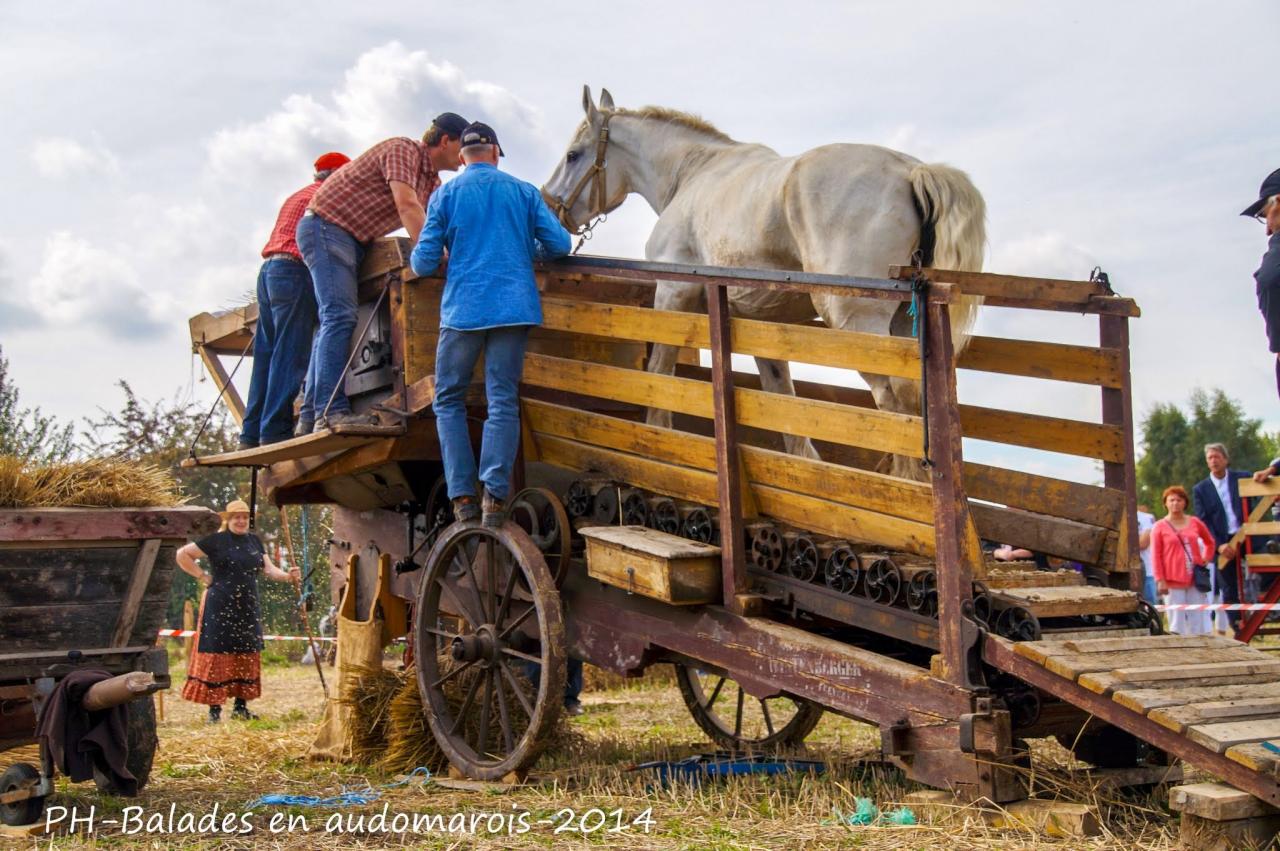 Moisson 2014 Phil Hudelle (69)