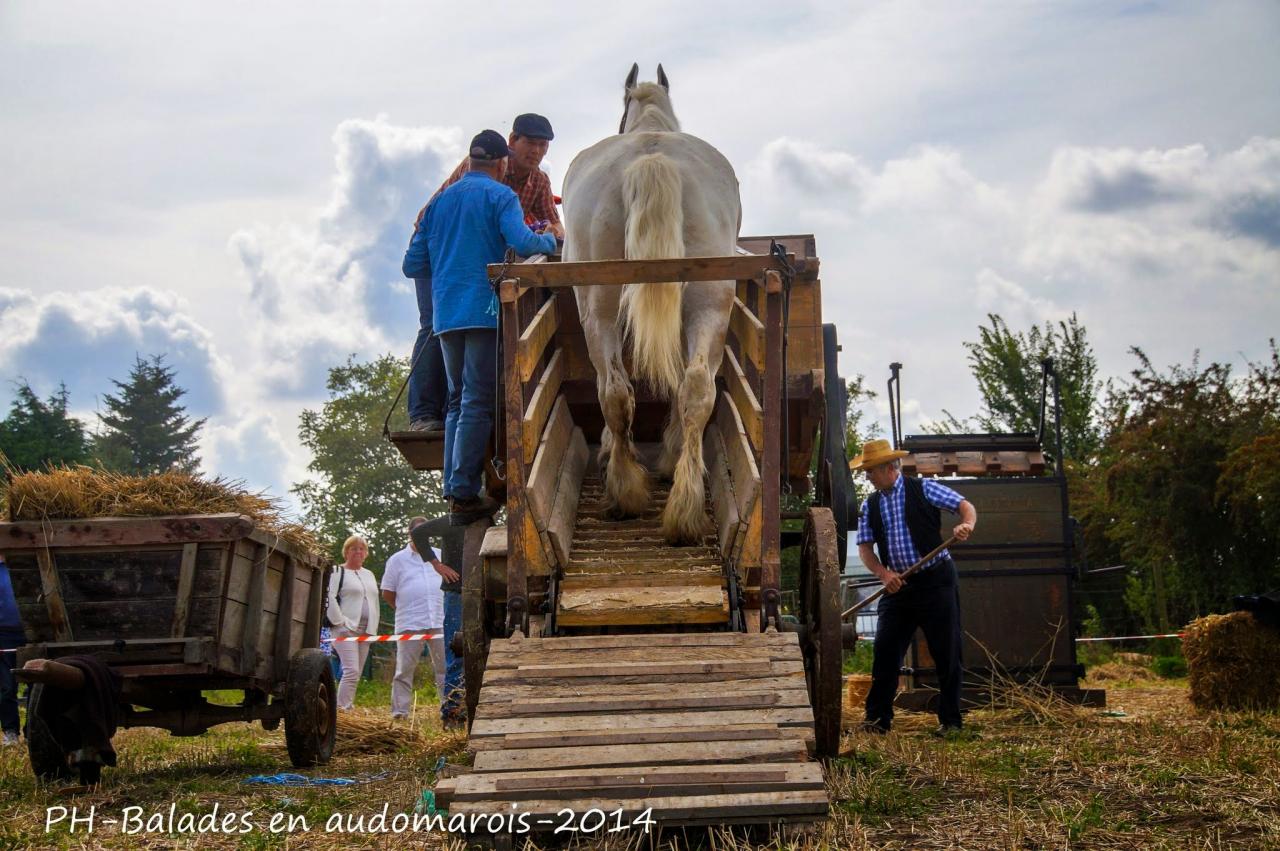 Moisson 2014 Phil Hudelle (70)