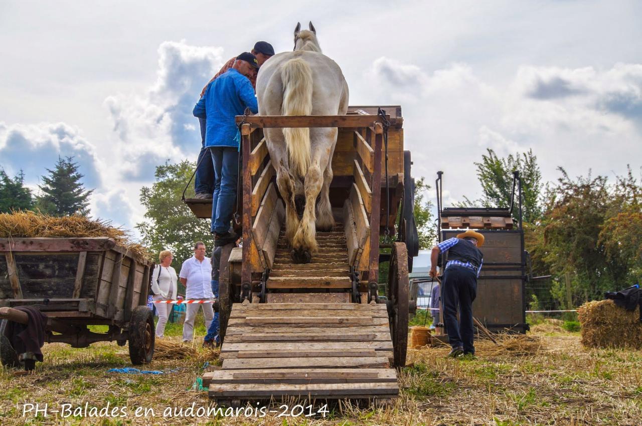 Moisson 2014 Phil Hudelle (71)