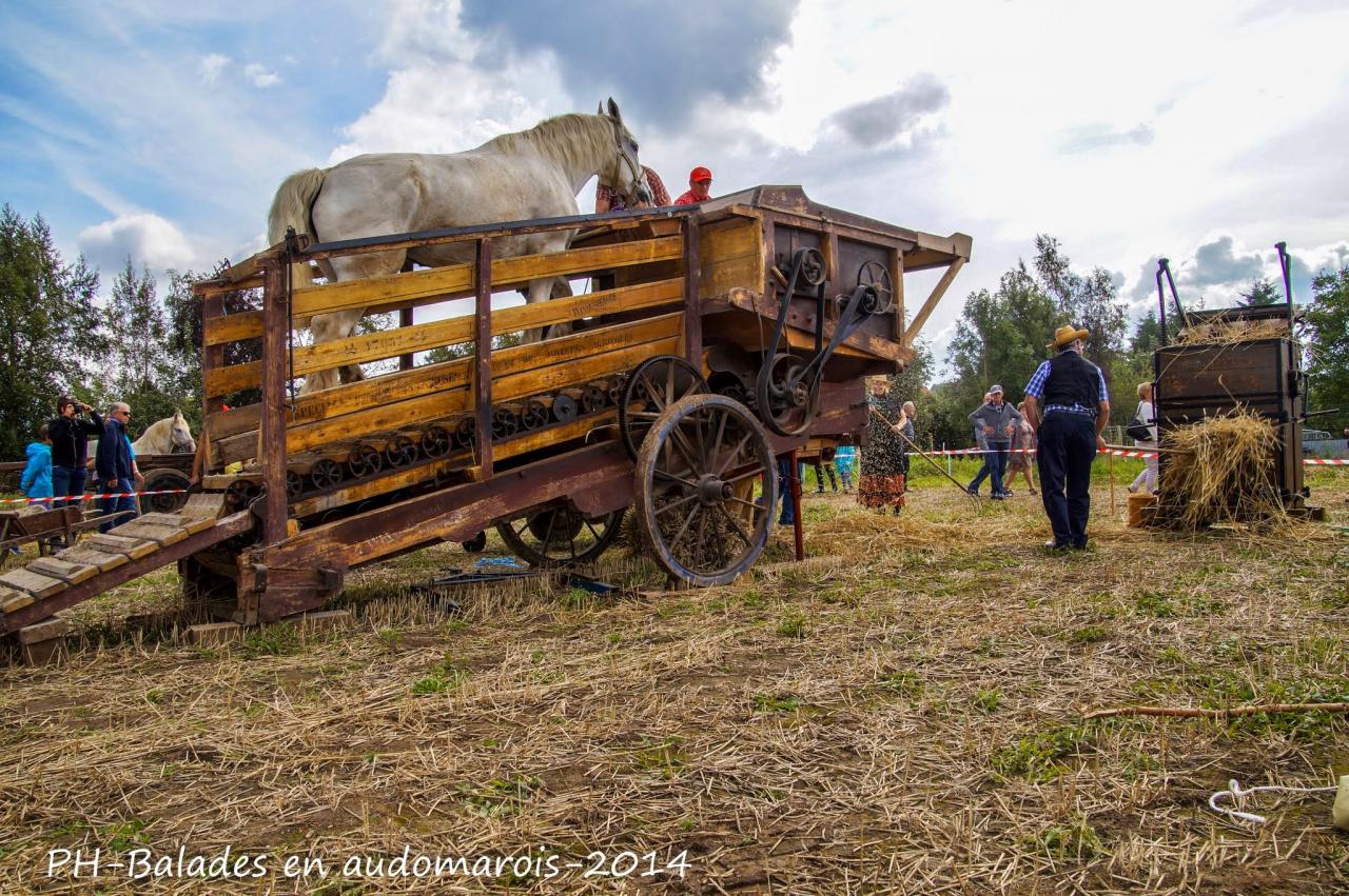 Moisson 2014 Phil Hudelle (72)