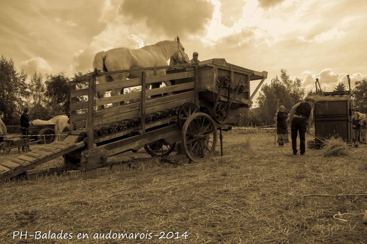 Moisson 2014 Phil Hudelle (73)