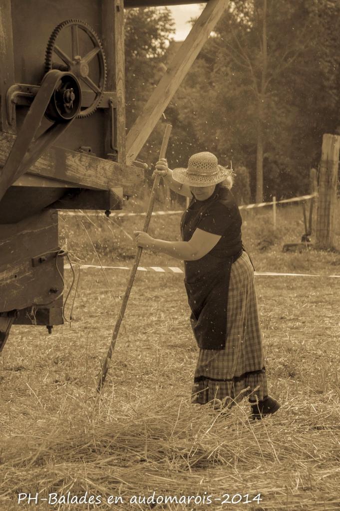 Moisson 2014 Phil Hudelle (74)