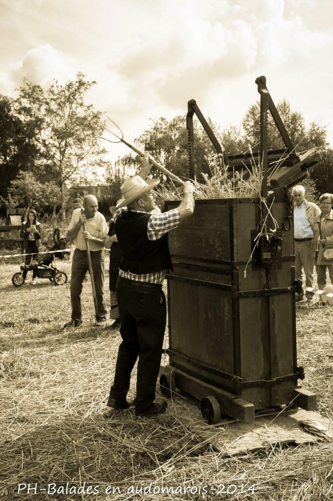 Moisson 2014 Phil Hudelle (77)