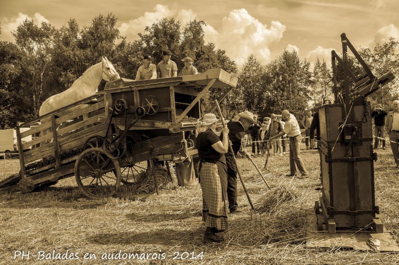 Moisson 2014 Phil Hudelle (78)