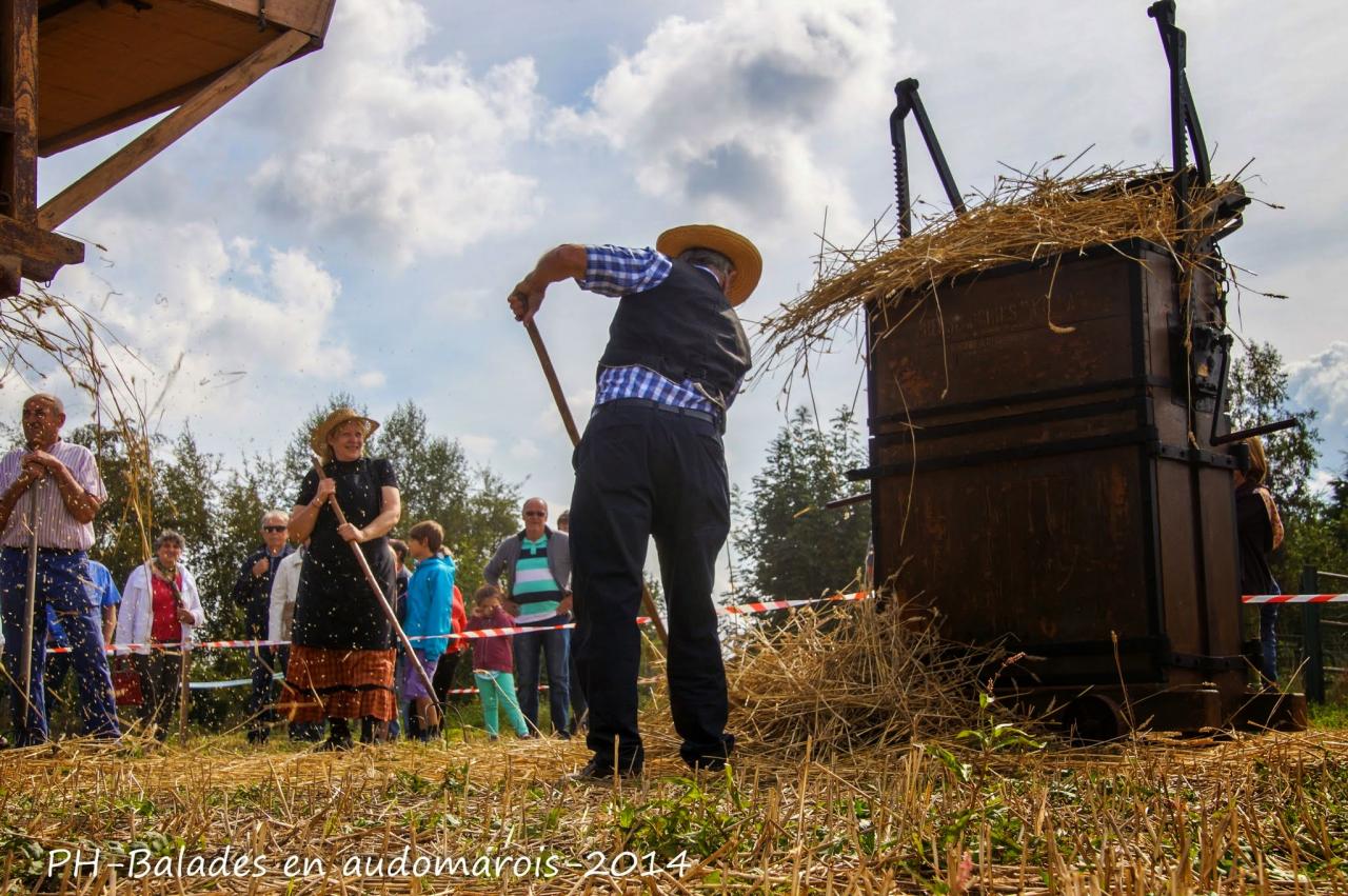 Moisson 2014 Phil Hudelle (79)