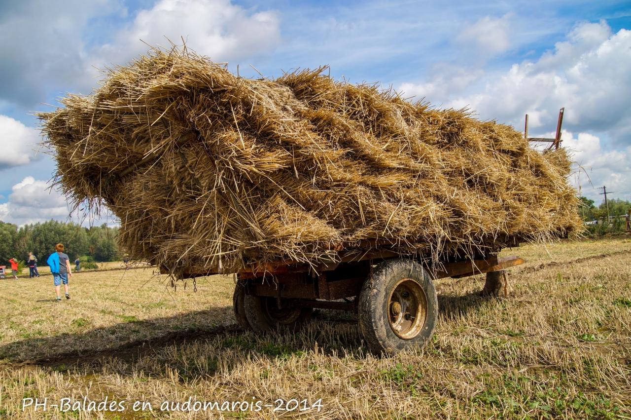 Moisson 2014 Phil Hudelle (83)