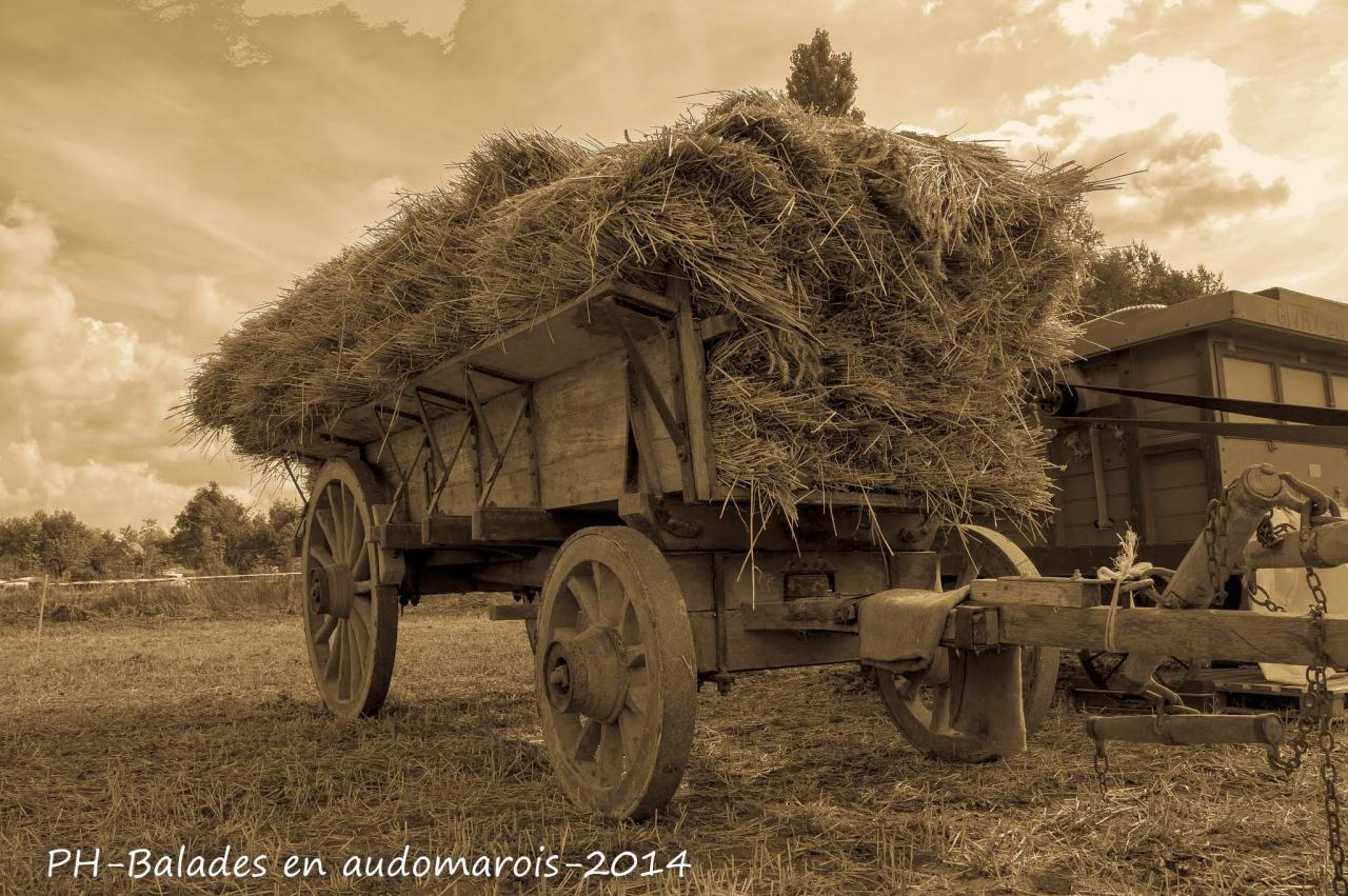 Moisson 2014 Phil Hudelle (85)