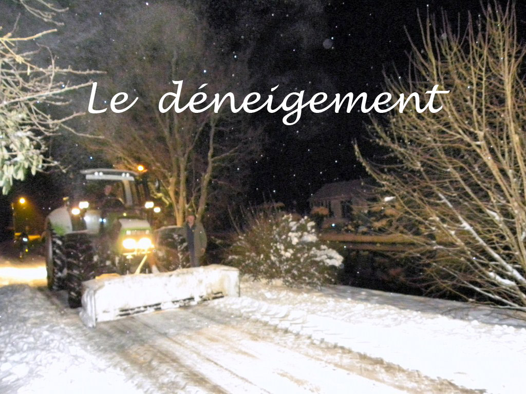neige janvier 2013 (31)