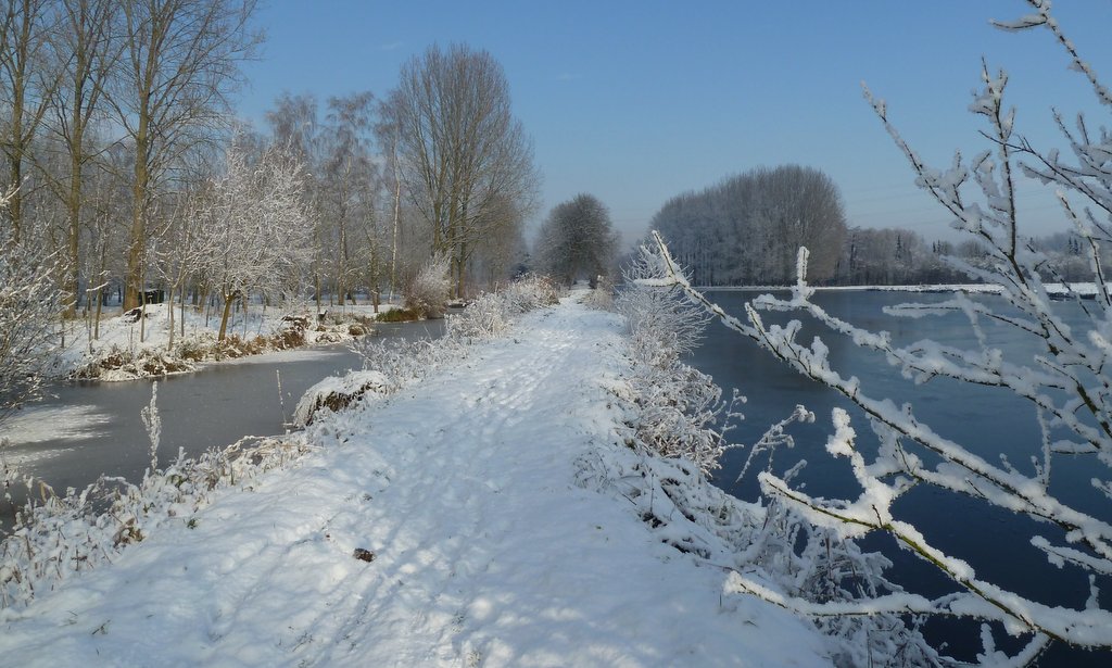 neige janvier 2013 (39)