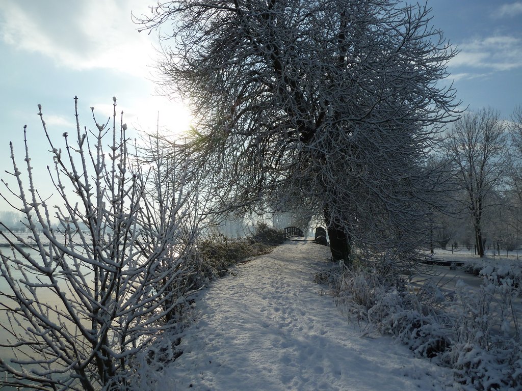 neige janvier 2013 (4)