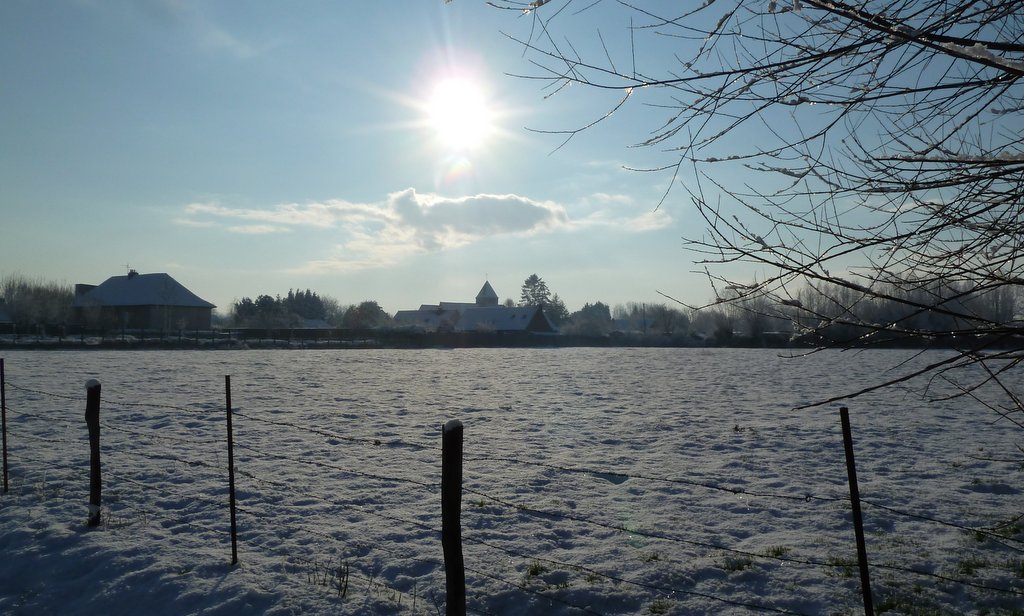 neige janvier 2013 (6)