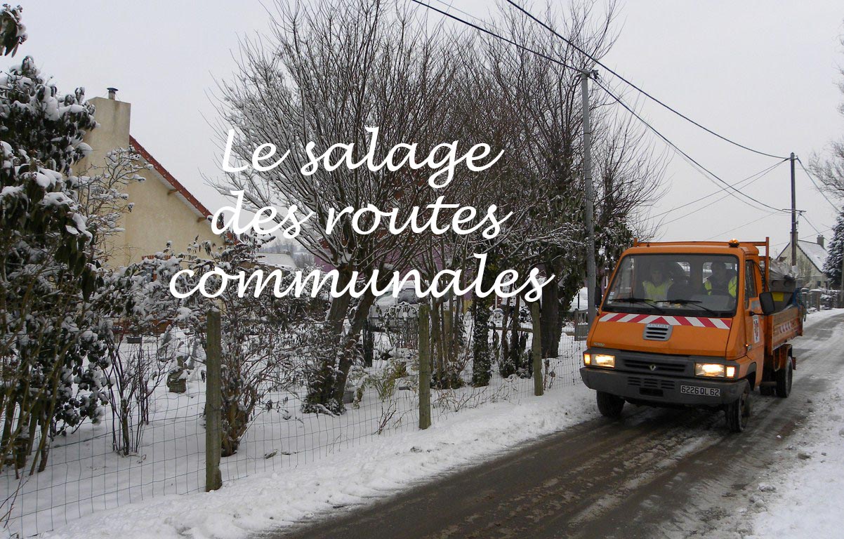 neige janvier 2013 (8)