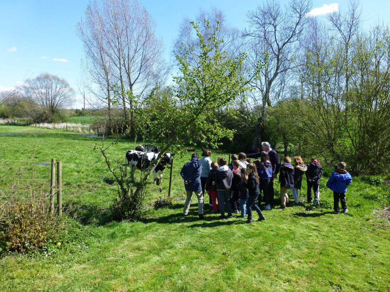 Rallye decouverte (5)