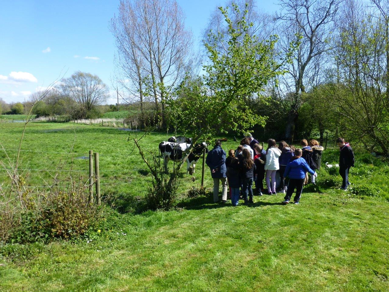 Rallye decouverte (6)