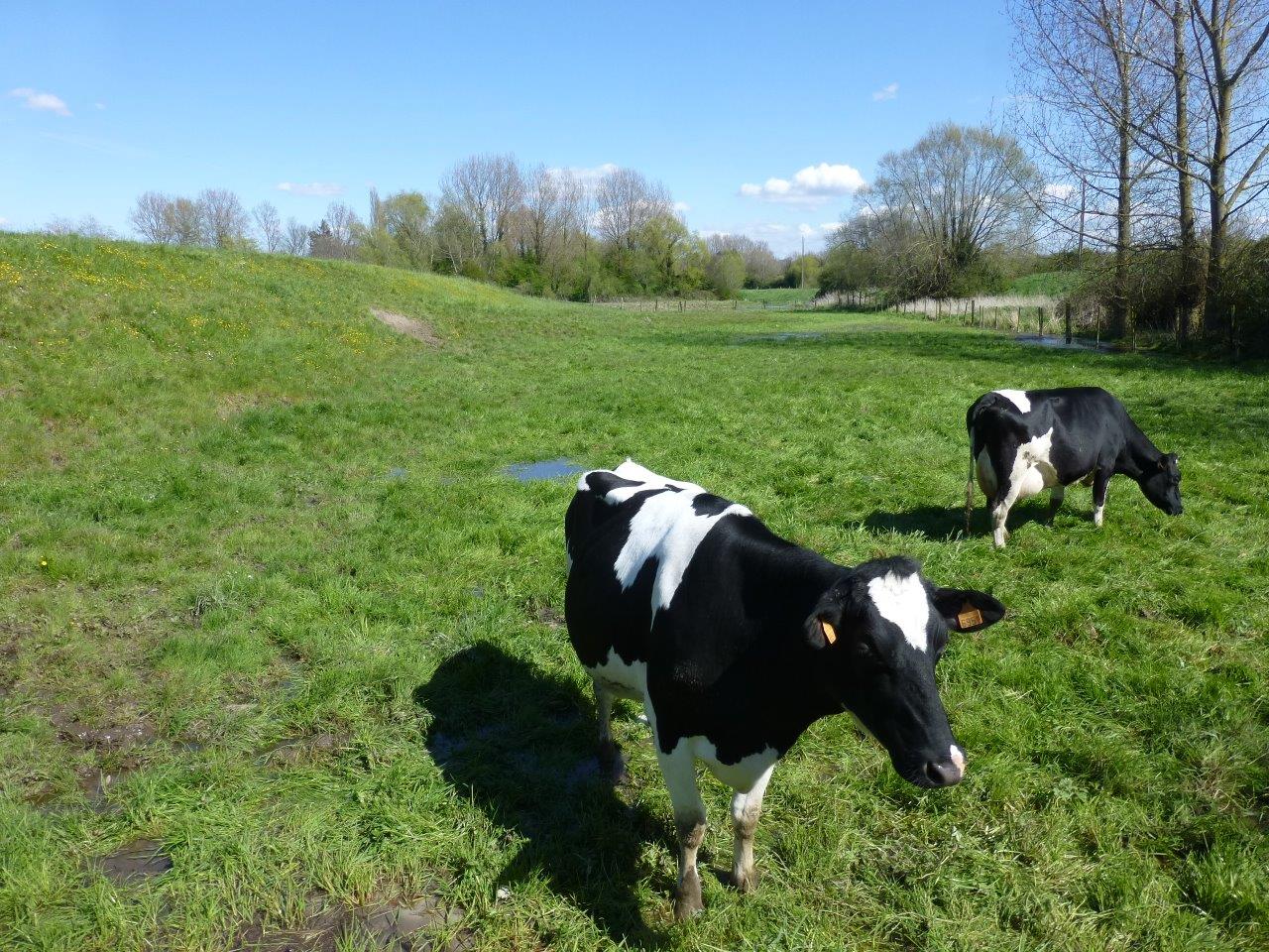 Rallye decouverte (7)