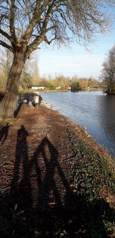 Restauration des berges de la houlle 10 