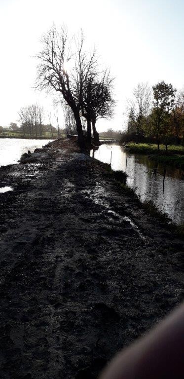 Restauration des berges de la houlle 11 