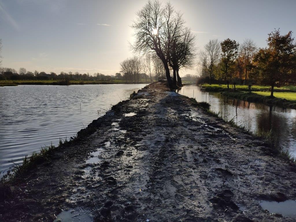 Restauration des berges de la houlle 3 