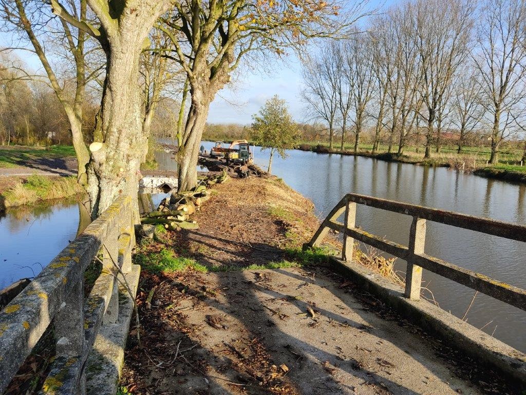 Restauration des berges de la houlle 6 