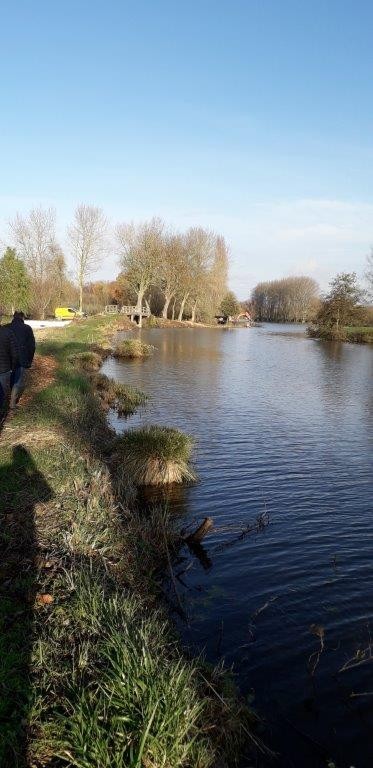 Restauration des berges de la houlle 7 